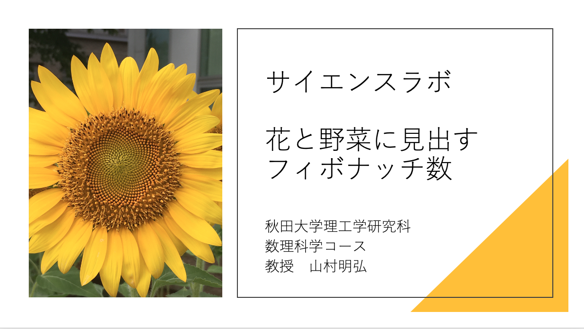 サイエンスラボ「花と野菜に見出すフィボナッチ数」の開催しました